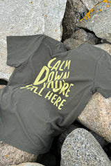 CALM DOWN BP MEN'S BRUSHED T-SHIRT