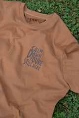 CALM DOWN CH MEN'S BRUSHED T-SHIRT