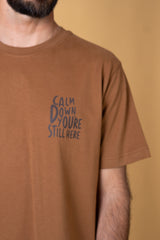CALM DOWN CH MEN'S BRUSHED T-SHIRT