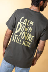 CALM DOWN BP MEN'S BRUSHED T-SHIRT