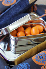 LunchPOD Snack container