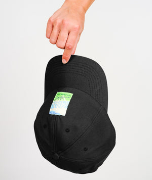 ALIVE CAP